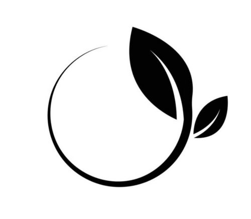 Fit Theory Hub